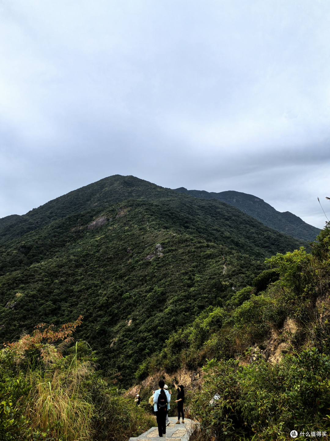 深圳大雁顶-鹿雁科考线全程8公里登山攻略