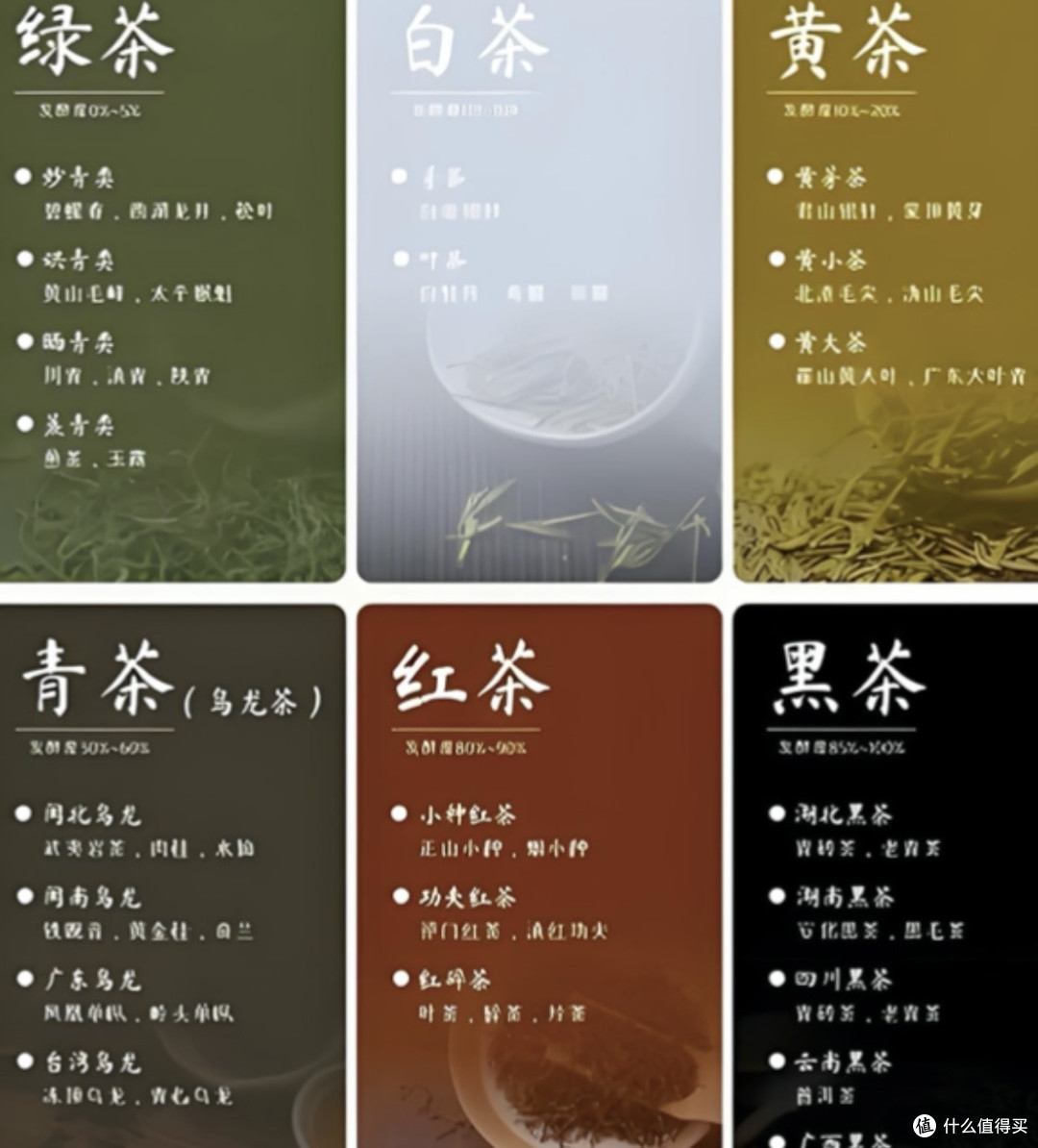 一杯茶到底能泡几次？看完这个，想把茶泡难喝都难！