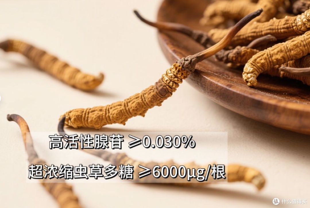 中国十大品牌冬虫夏草全攻略:效果实测+口碑排行,助你锁定好品