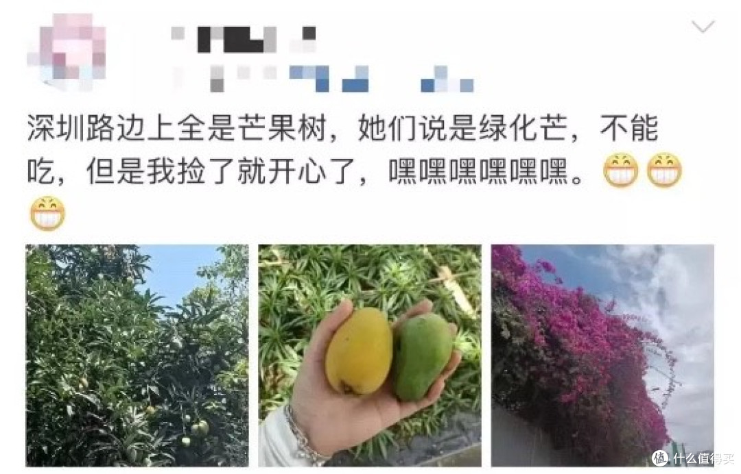 网上拼命带货的“梅西同款”马黛茶,为什么就是火不了?