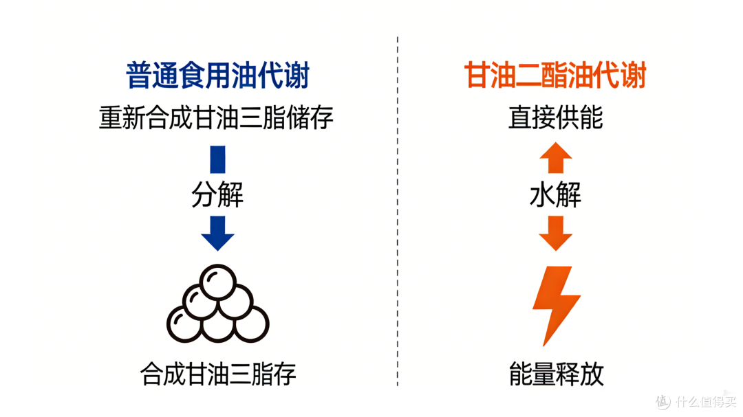 图片来源于网络