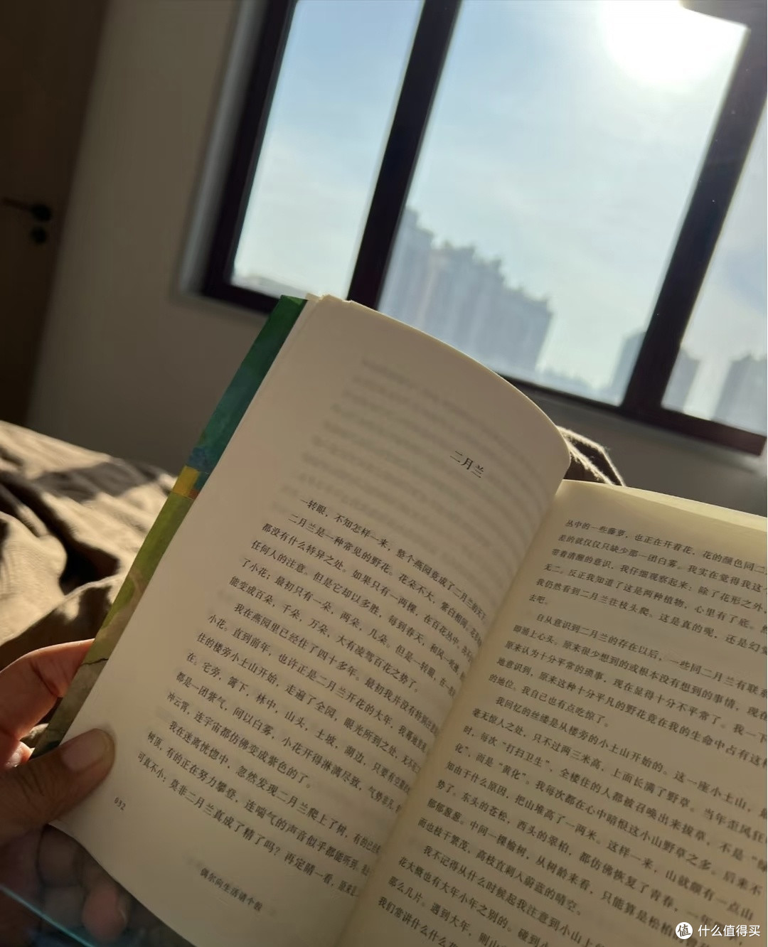 冬日居家治愈清单,把日子过成温暖的诗