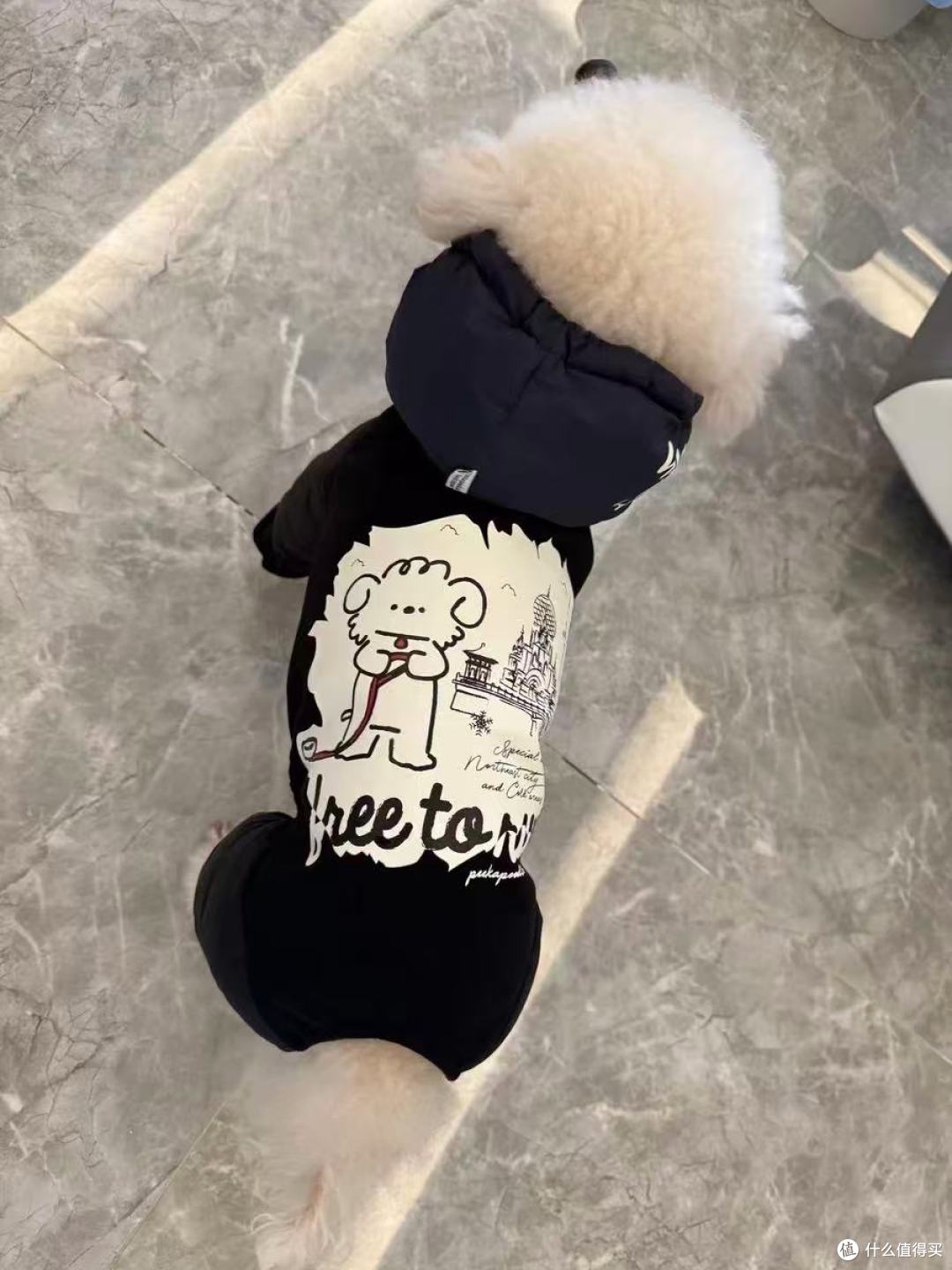 泰迪过冬神器!一阅心田羽绒服套装实测,暖到心坎里❄️
