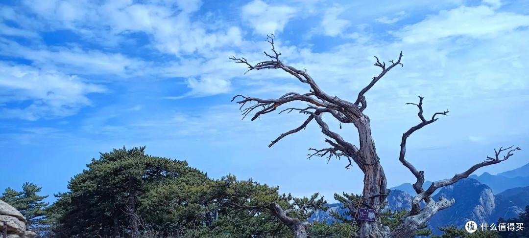 登奇峰遇云海,在山间读懂自然的磅礴与温柔