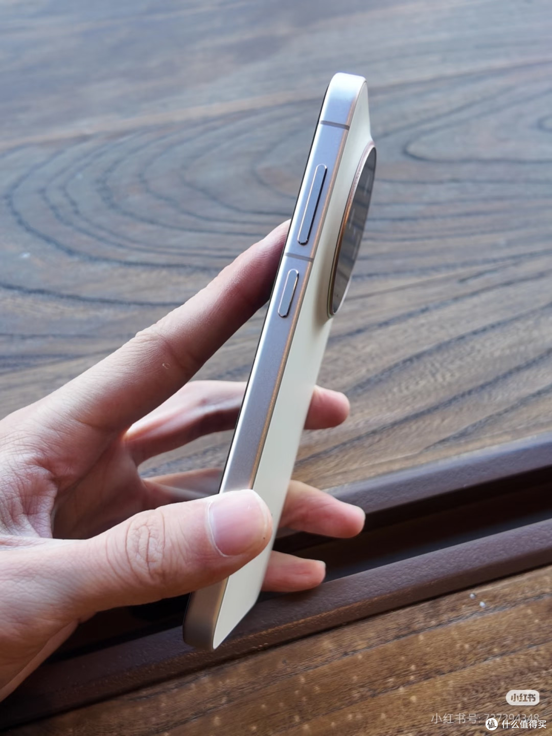 vivo x300