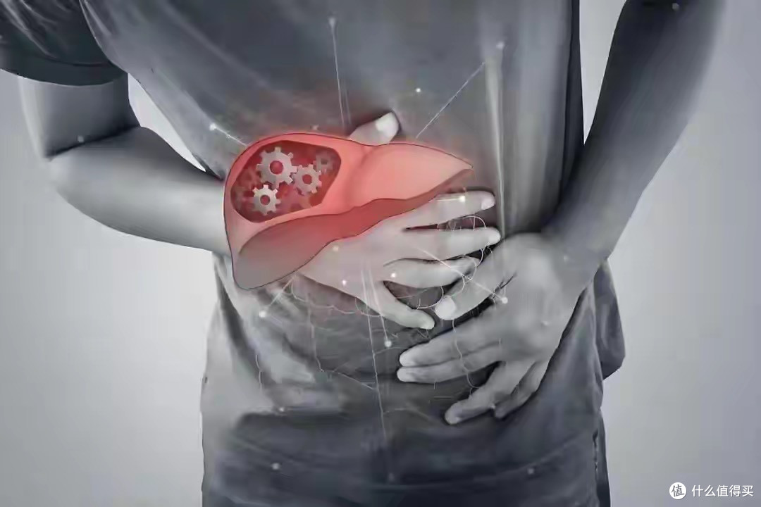 轻断食再次封神!复旦大学研究证实,让肝脏脂肪在5个月内少20.5%