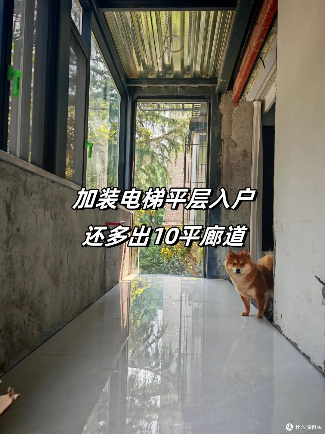 老小区加装电梯，1-3楼死活不同意，这方案一出，全体业主都服了