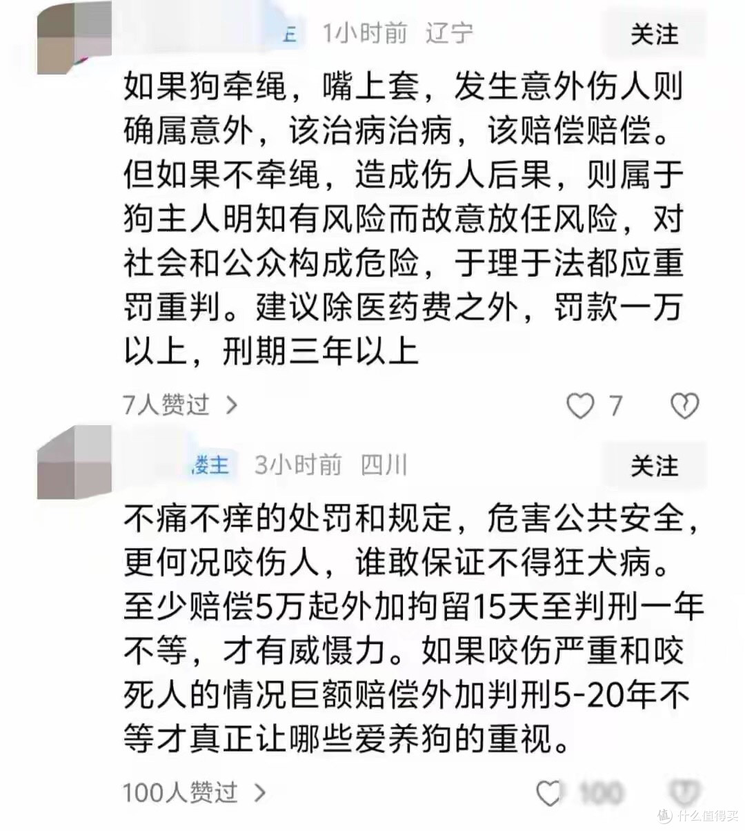 遛狗不牵绳被罚了，2026年第一例！新法这一次是动真格了
