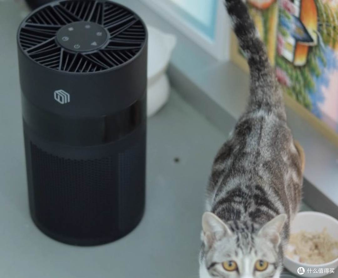 宠物空气净化器哪个牌子好?品牌排行榜前十名,高效净化护健康!