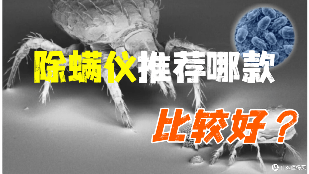 除螨仪推荐哪款比较好?2026十大公认除螨效果最好的除螨仪推荐！