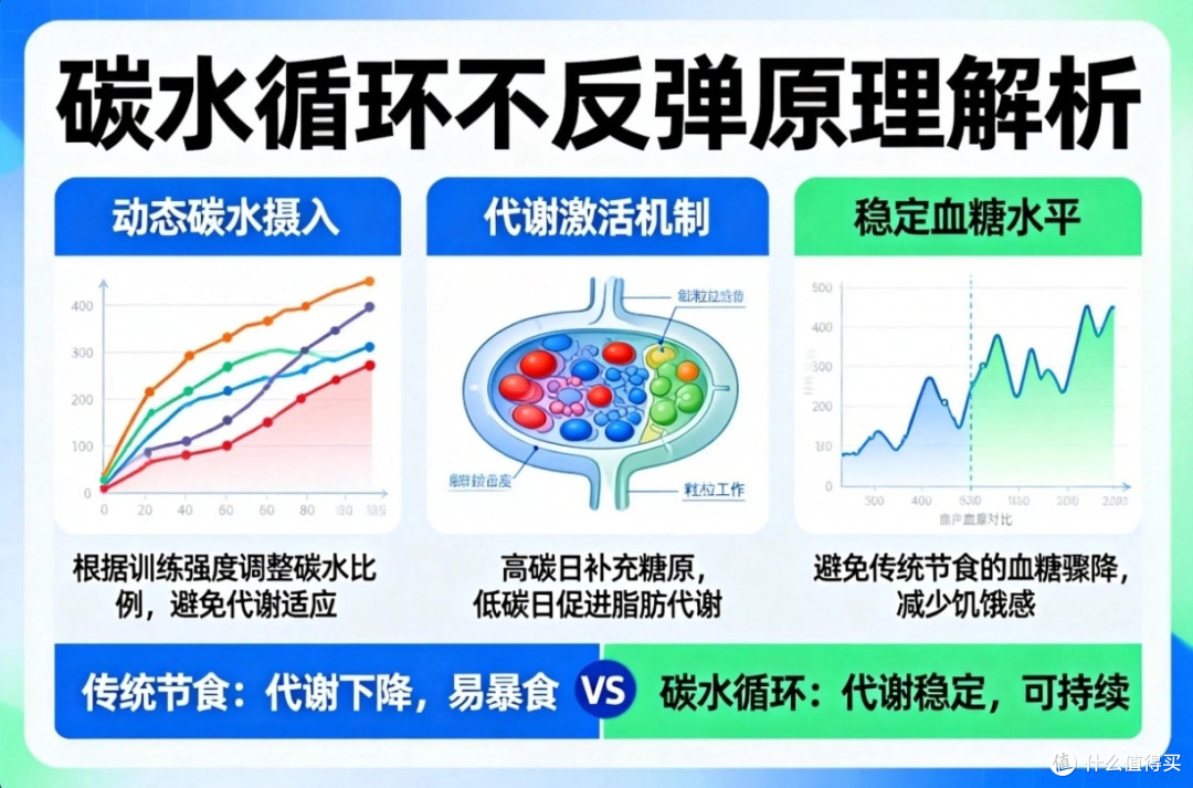不用戒碳水!科学碳水循环减脂法,两周掉4-6斤,新手零痛苦坚持