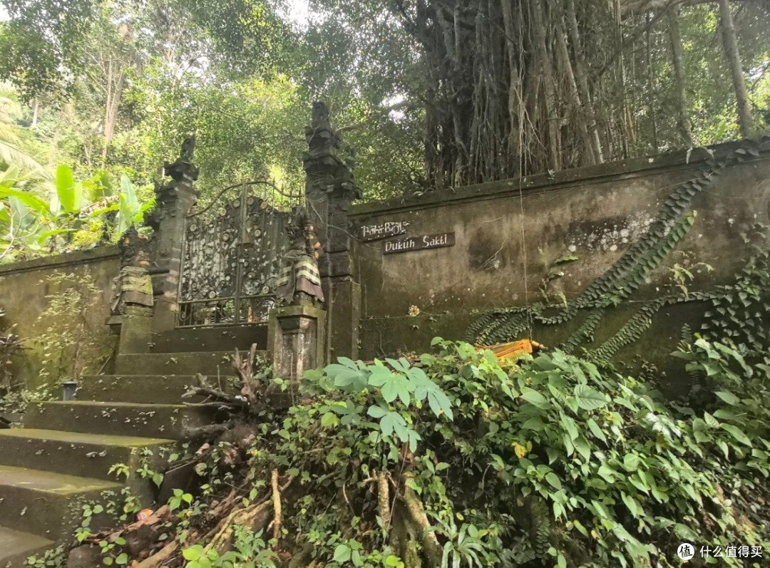 闯进巴厘岛的温柔里!这场跨国旅行治愈了所有疲惫