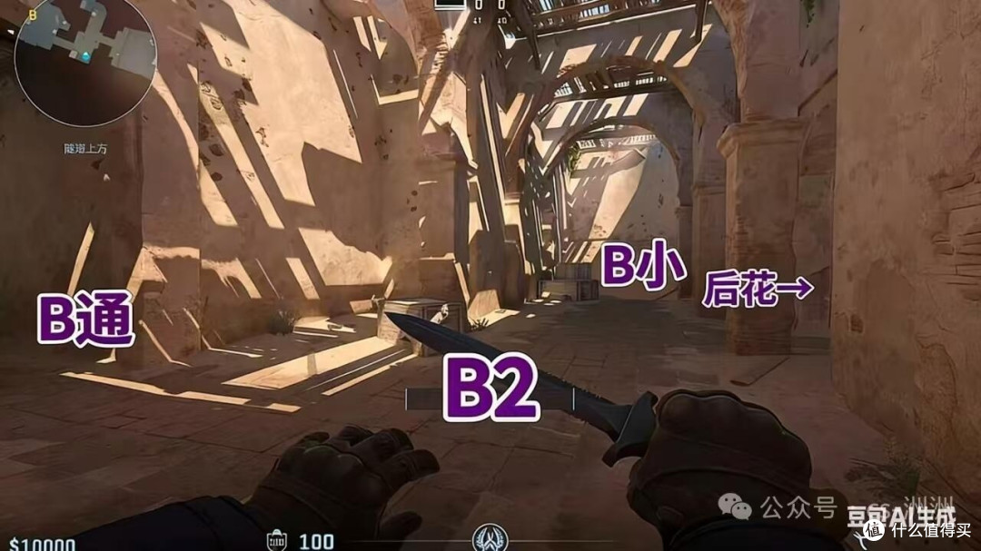 从萌新到高手：CS成长之路