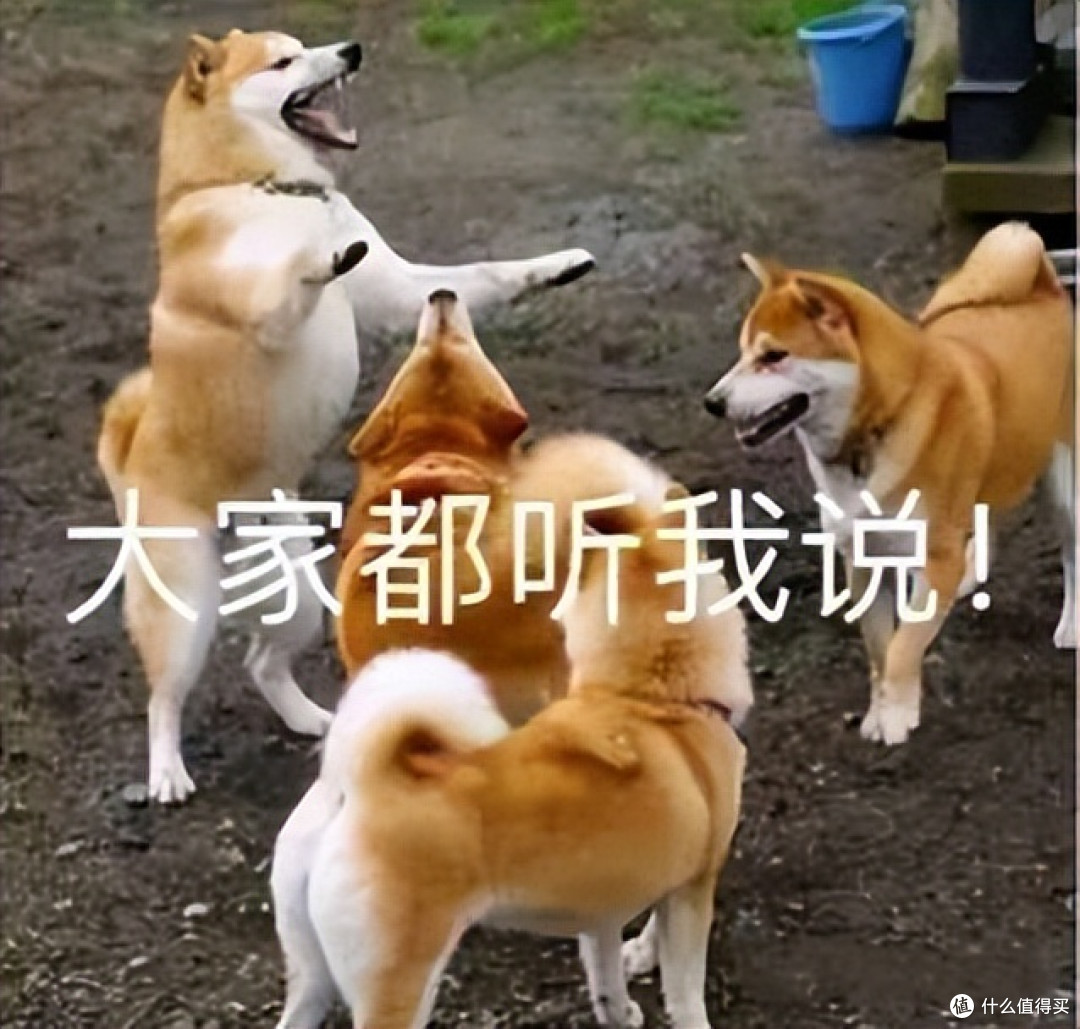 2026初学者吉他选购:500-3000元9款性价比吉他推荐!入门到进阶~