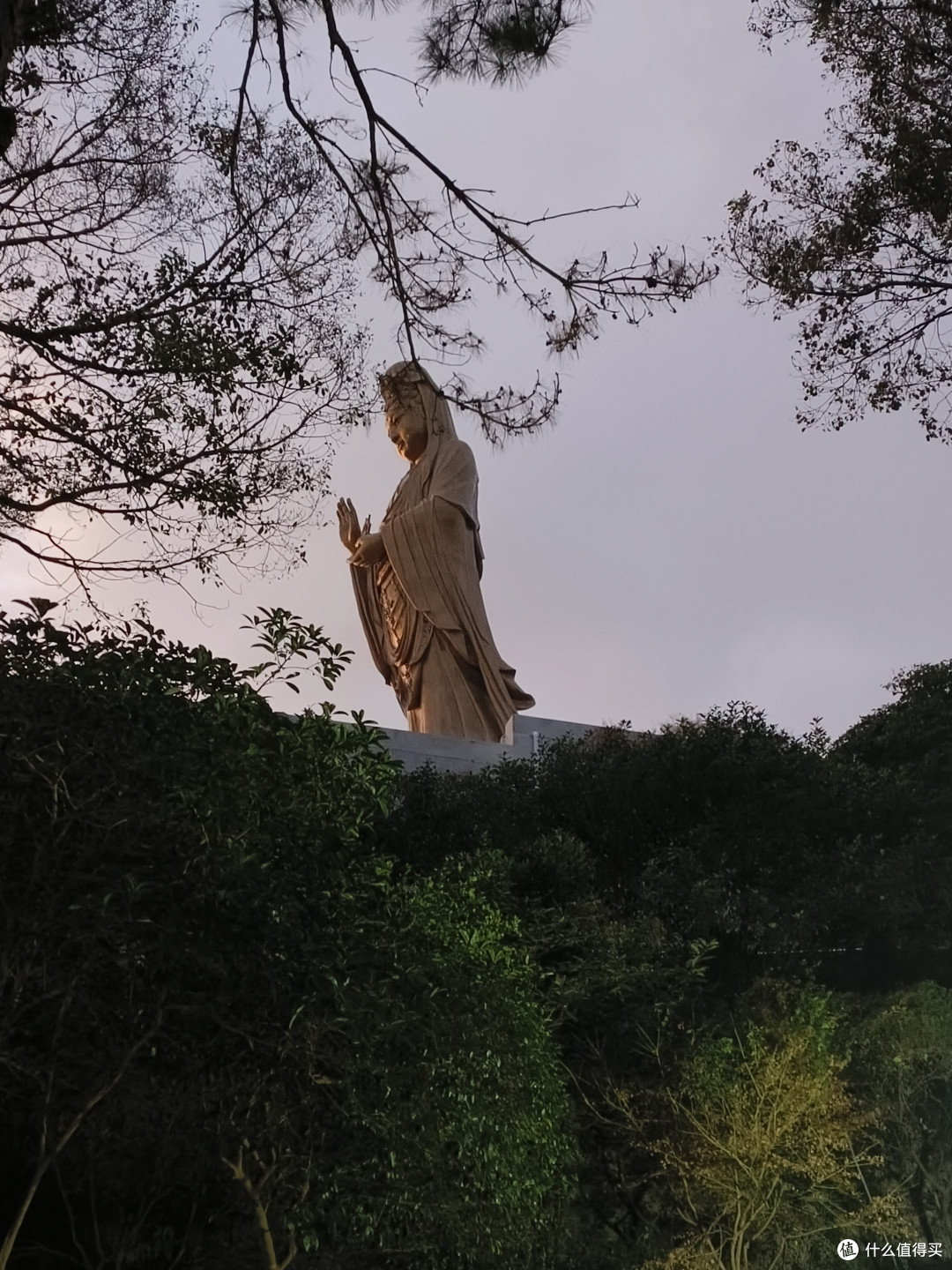 普陀山带娃两日游攻略