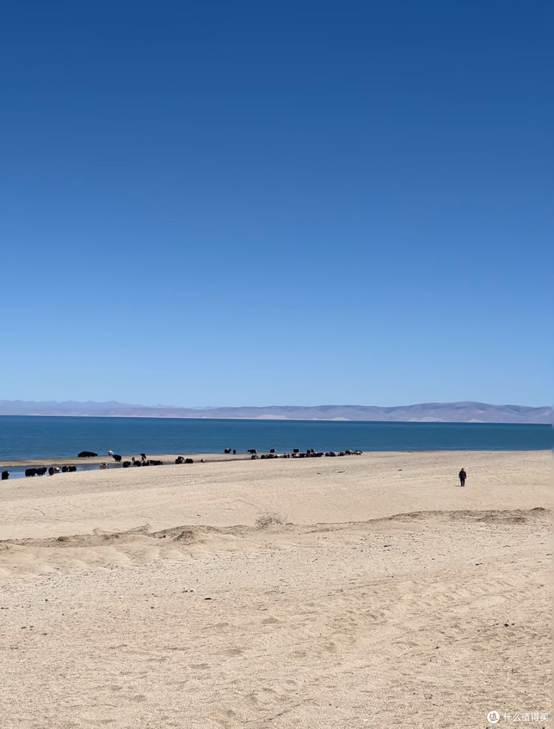摘掉滤镜,我最难忘的旅行目的地是青海湖环湖西路
