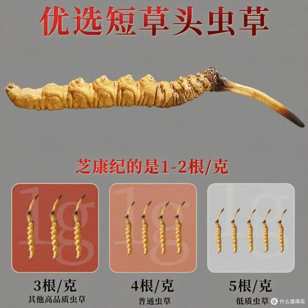 冬虫夏草哪个牌子正宗质量好?十大高端品牌权威发布!