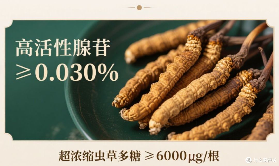 冬虫夏草哪个牌子正宗质量好?十大高端品牌权威发布!