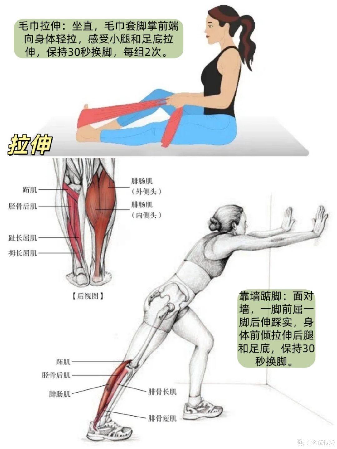 ②靠墙踮脚:面对墙,一脚前屈一脚后伸踩实,身体前倾拉伸后腿和足底