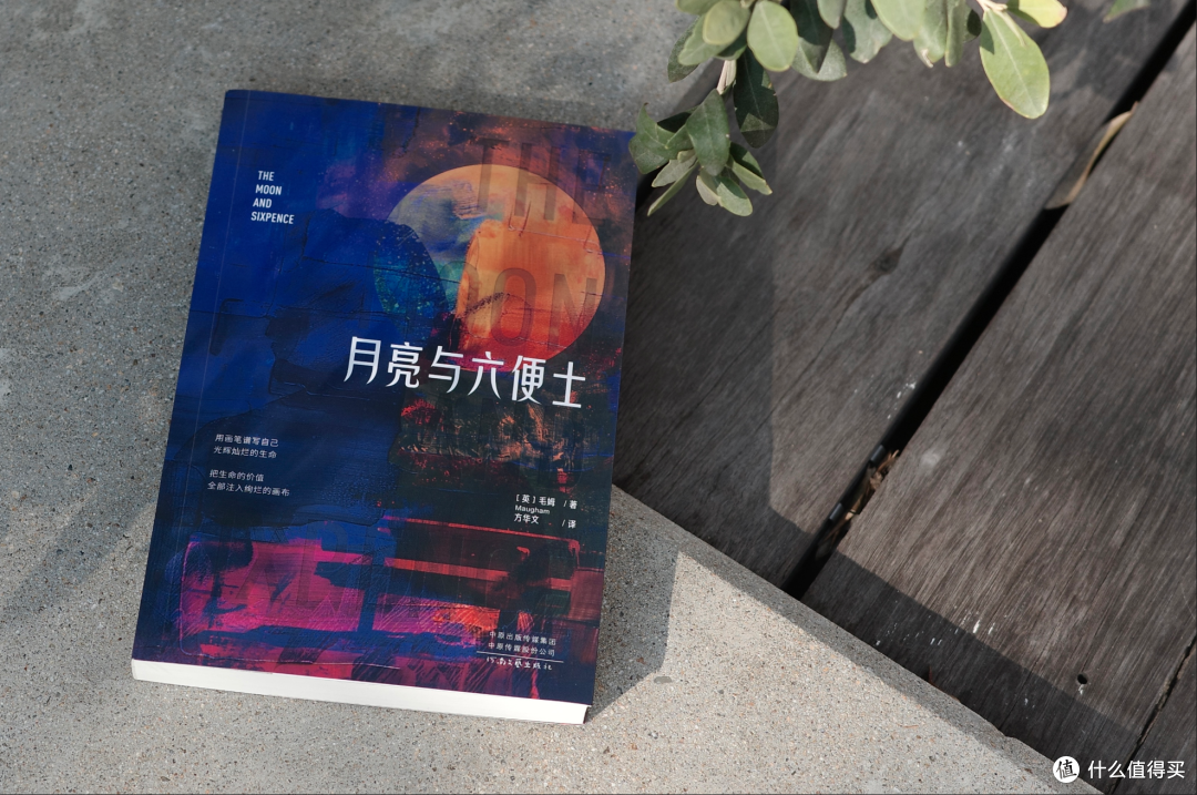 整个简中世界里,都找不到关于这个海岛的任何攻略