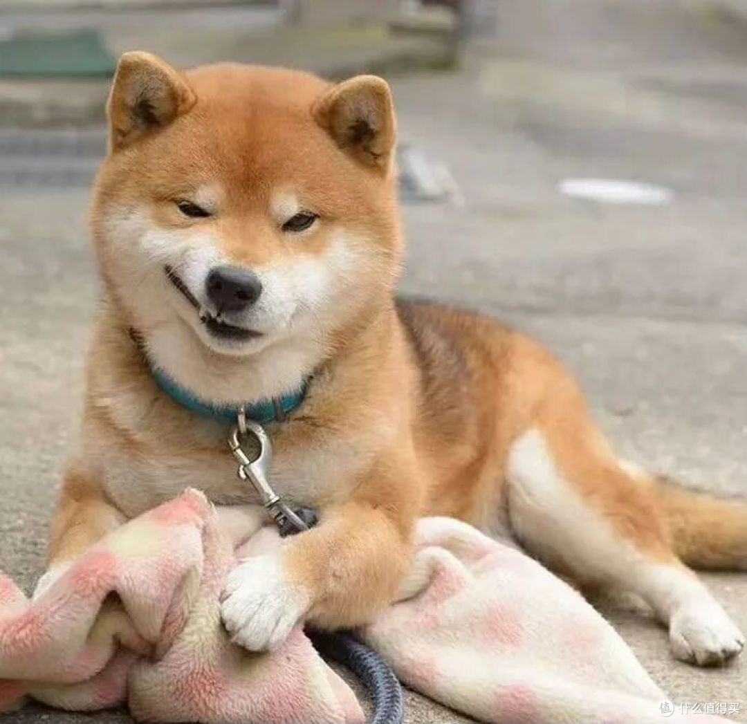 家门口的搓澡之都居然藏这么深,好爽!好上头!