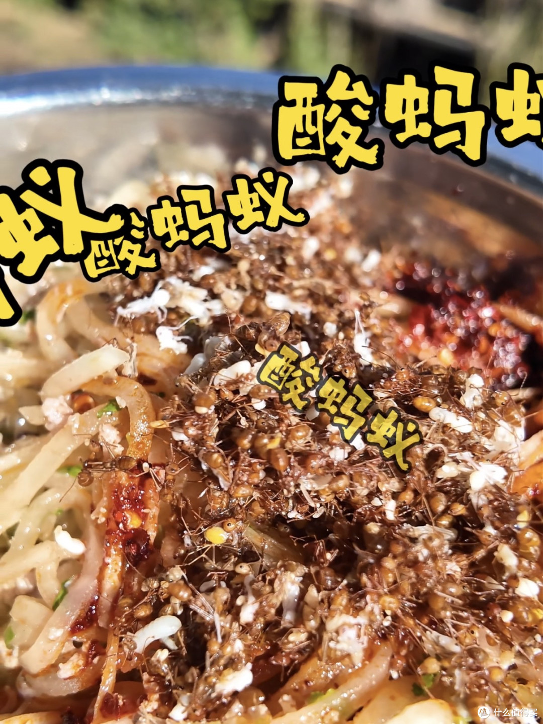 拌生肉,酸蚂蚁,手冲咖啡…为这口杀猪饭,6小时车程也值了!