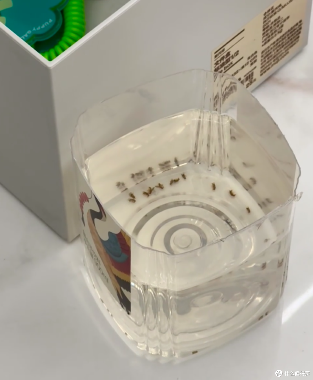 年末大扫除时，我发现“白醋”才是家务神器，用来做家务太牛了！