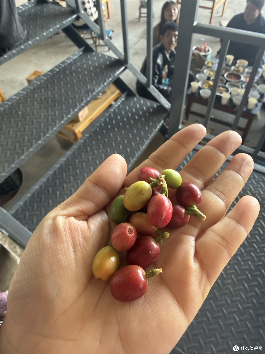 拌生肉,酸蚂蚁,手冲咖啡…为这口杀猪饭,6小时车程也值了!