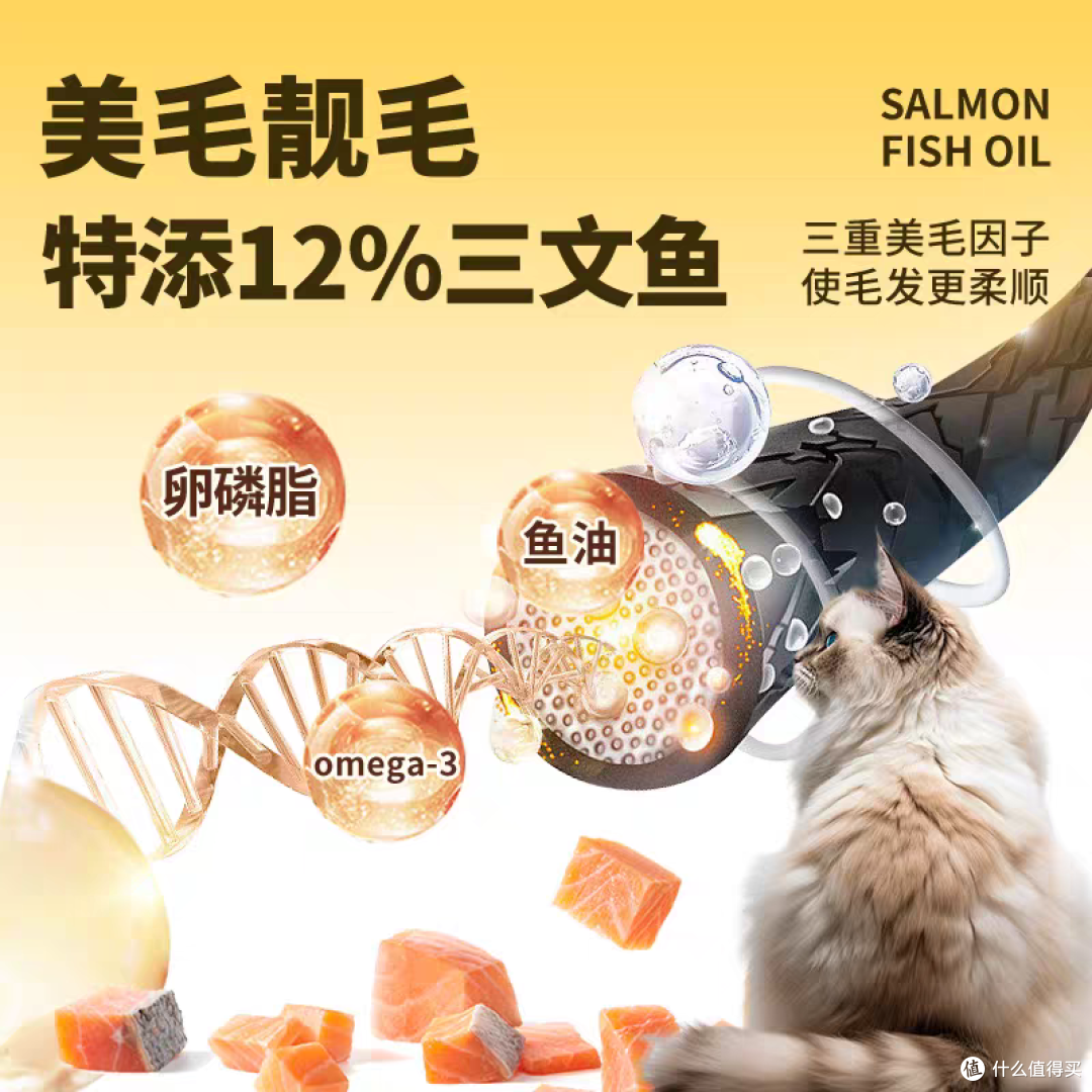 2026十大质量可靠的猫粮品牌测评