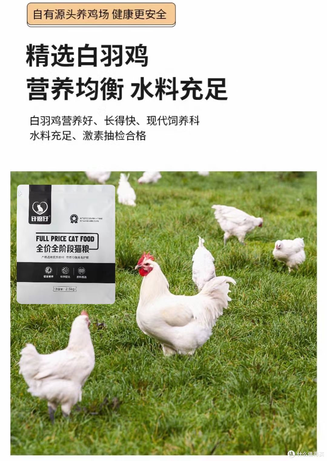 2026推荐十大放心平民猫粮品牌！猫粮最好的牌子是哪个？