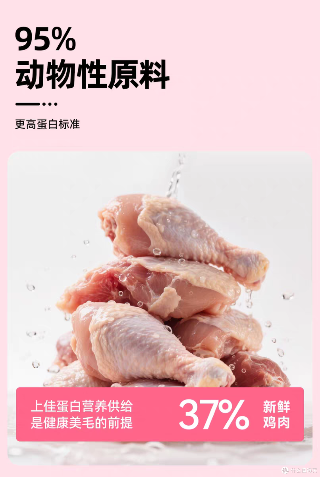 2026推荐十大放心平民猫粮品牌！猫粮最好的牌子是哪个？