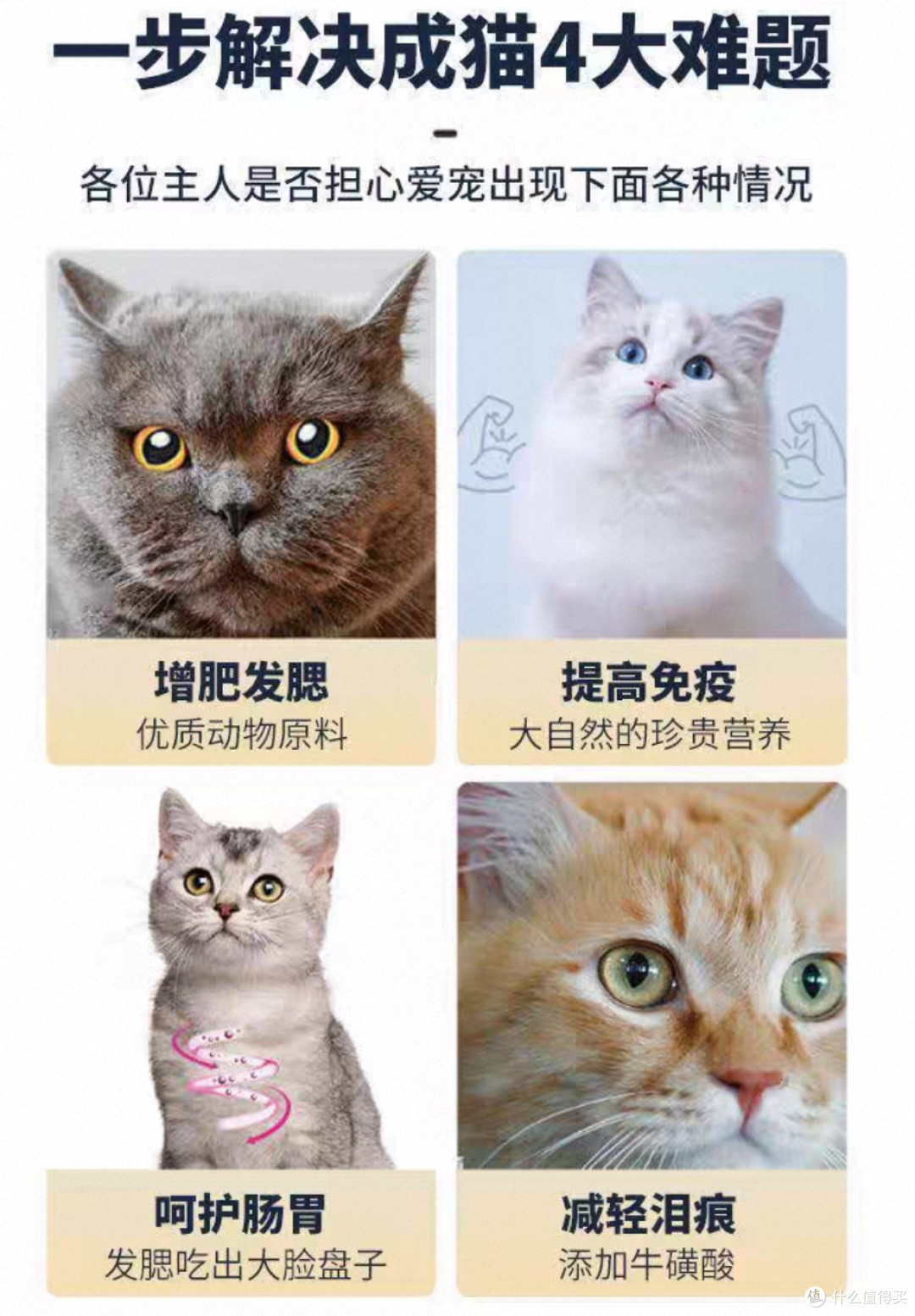 2026推荐十大放心平民猫粮品牌！猫粮最好的牌子是哪个？