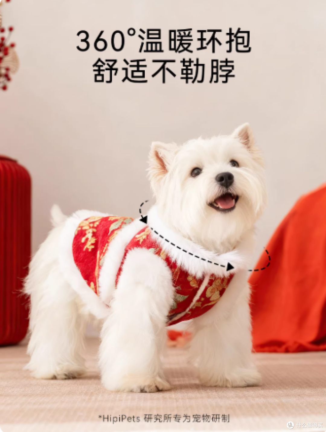 过年不光人要穿新衣,毛孩子也要红红火火迎新春!🐶🧧