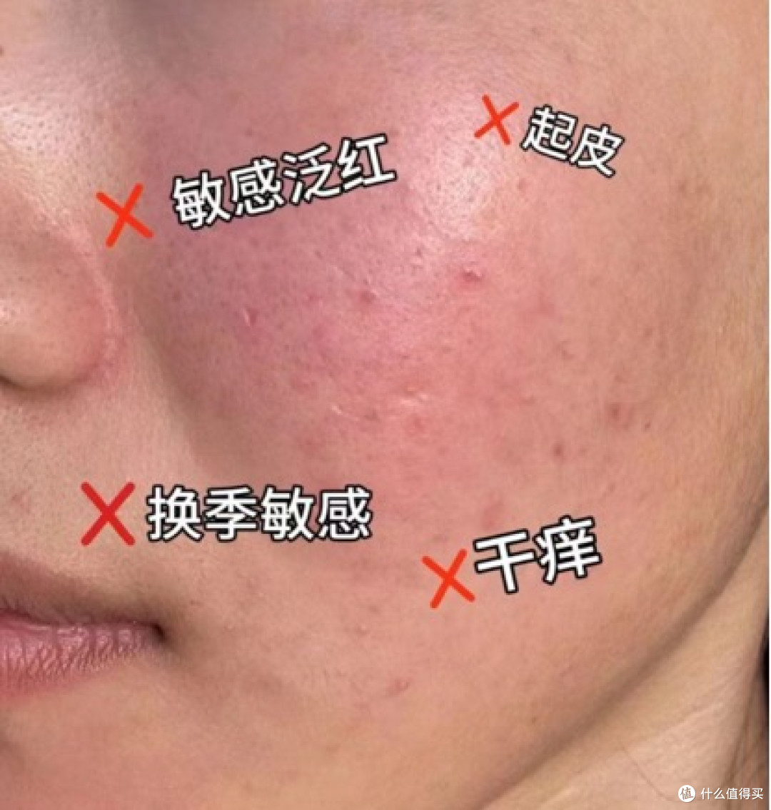 【2026超声波清洗机选购指南】如何选择合适的超声波清洗机？