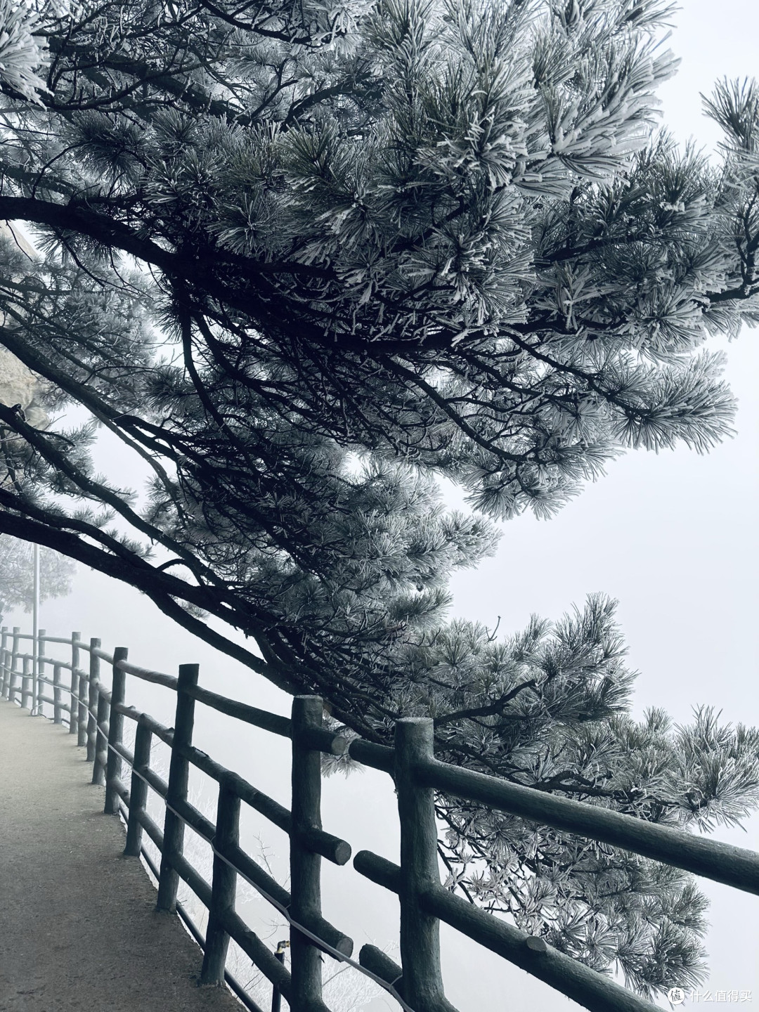 春节逃离人海:在沂蒙山赴一场冰雪仙境之约
