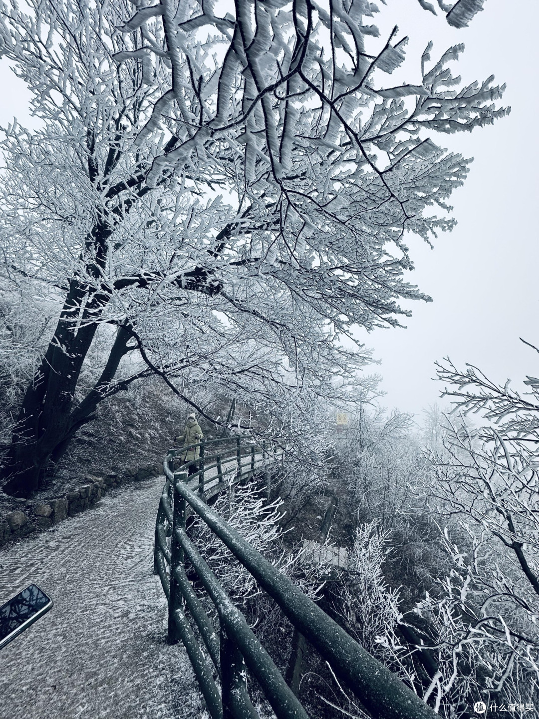 春节逃离人海:在沂蒙山赴一场冰雪仙境之约