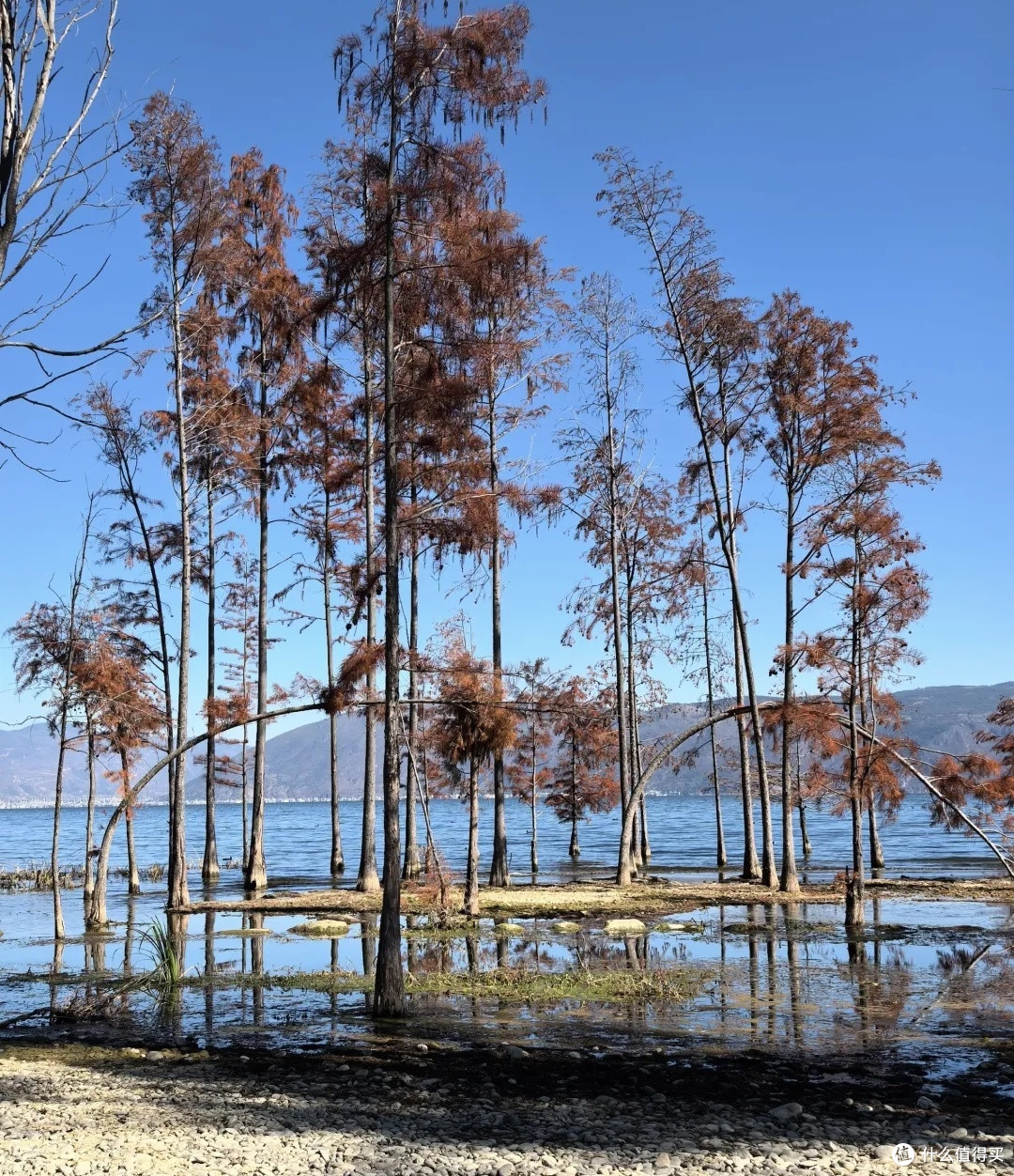 洱海的N种绝美打开方式，藏着大理的温柔