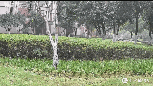 不用WIFI不插电，流量终身免费，用神眸BC7告别户外监控痛点