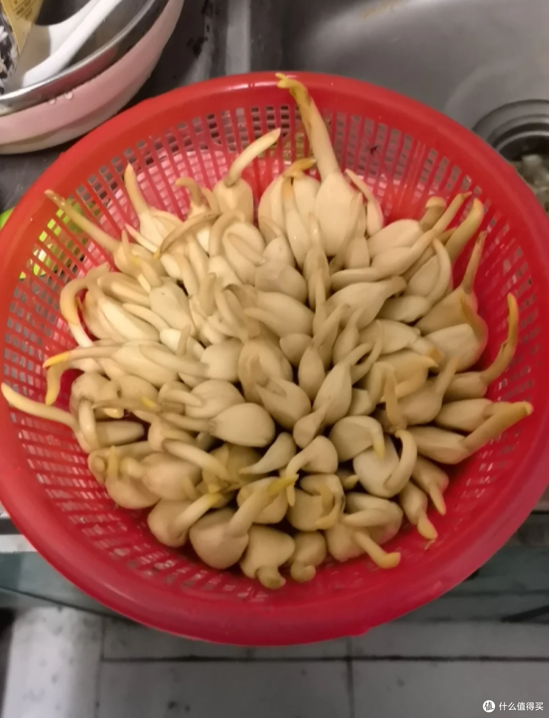 用完的“草莓筐”都能拿来干嘛?网友的点子,绝了