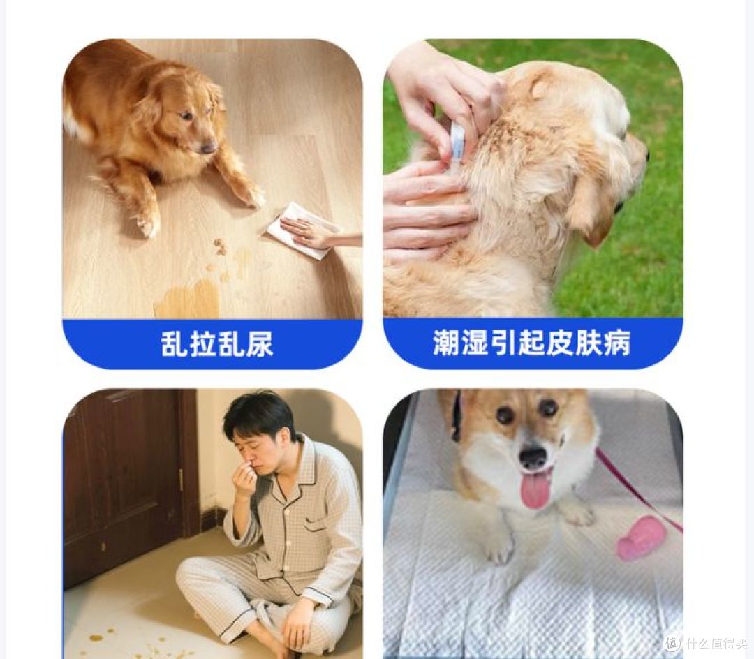 乐事推出高品质宠物尿垫,适合各类狗狗使用!