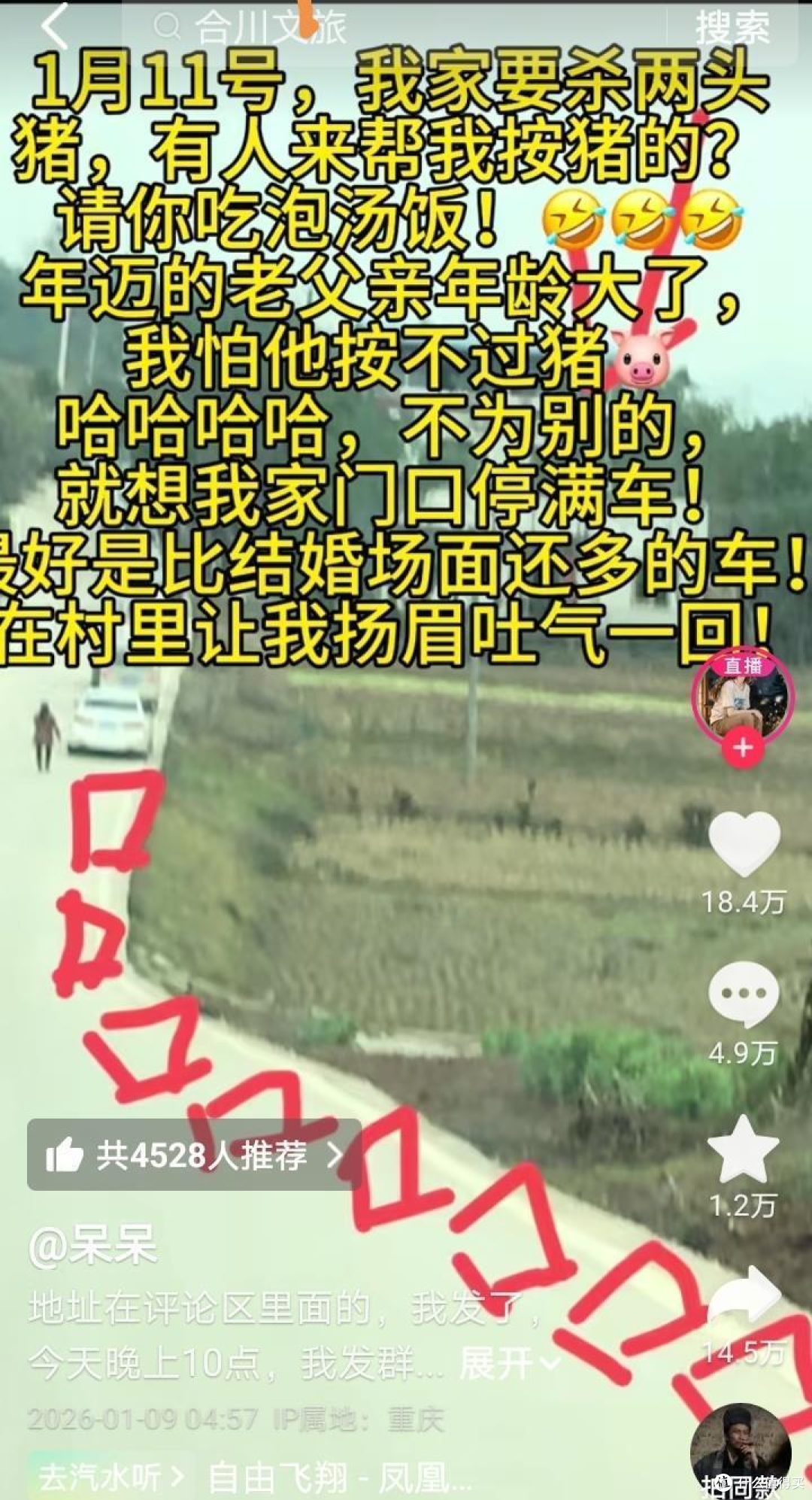 合川女孩喊网友帮杀猪,来了上千人,车子排到山脚下!