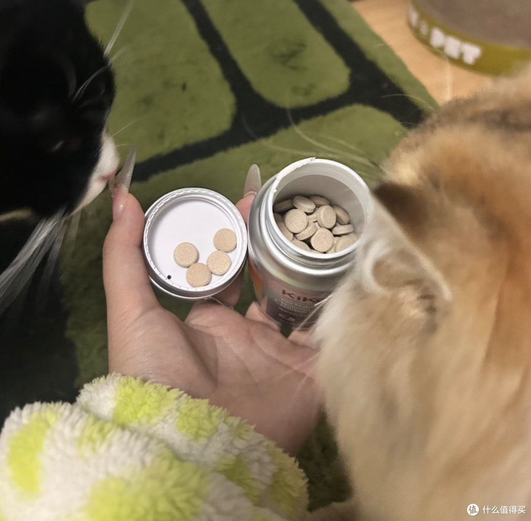 拯救挑食猫的神仙营养剂,吃成壮实小胖子