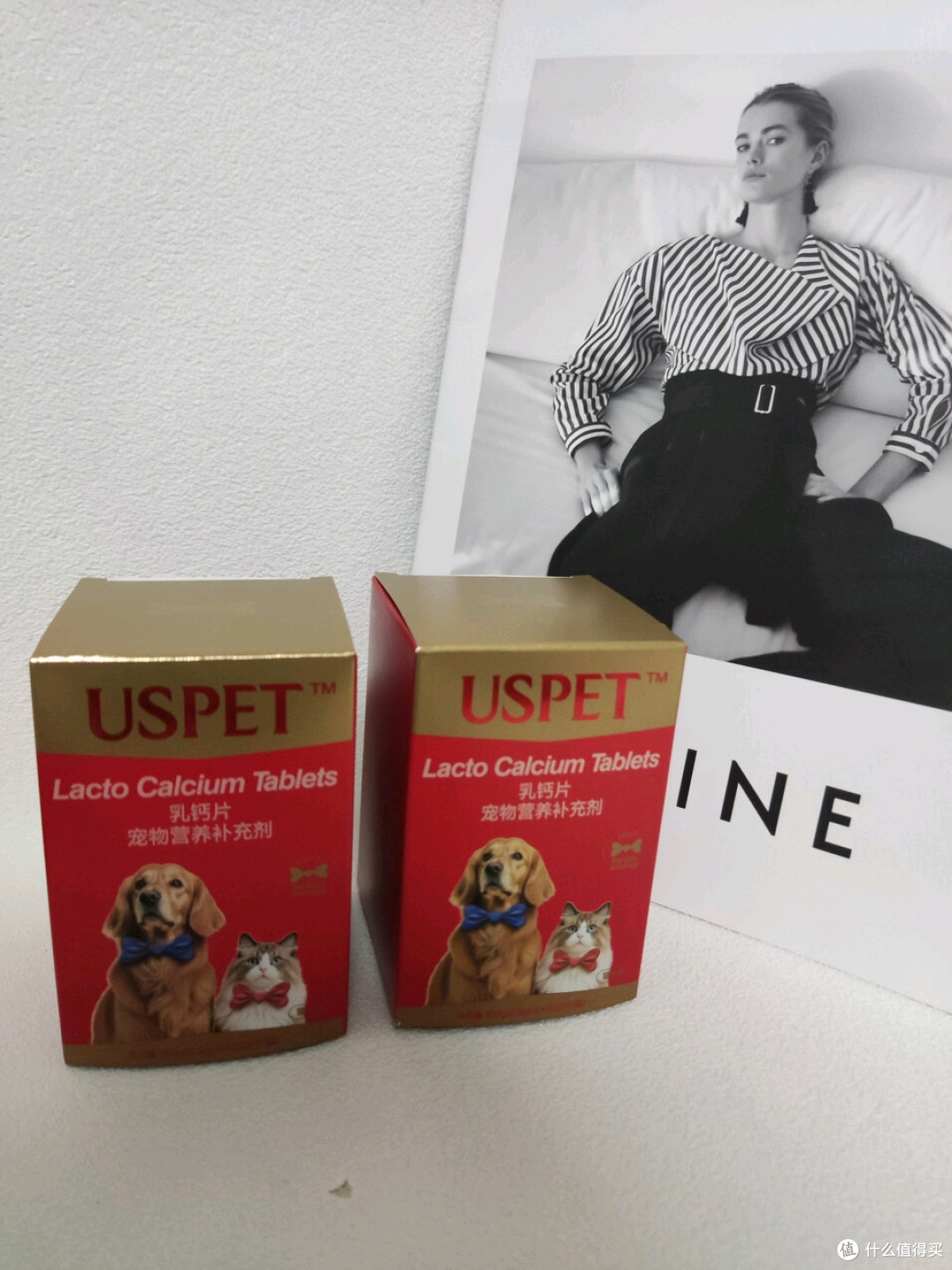 USPET宠物乳钙片，全龄毛孩子的健骨底气