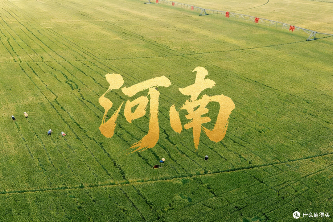 河南“隐藏款”土特产大盘点，都是难得的好食材，准备年货用得着