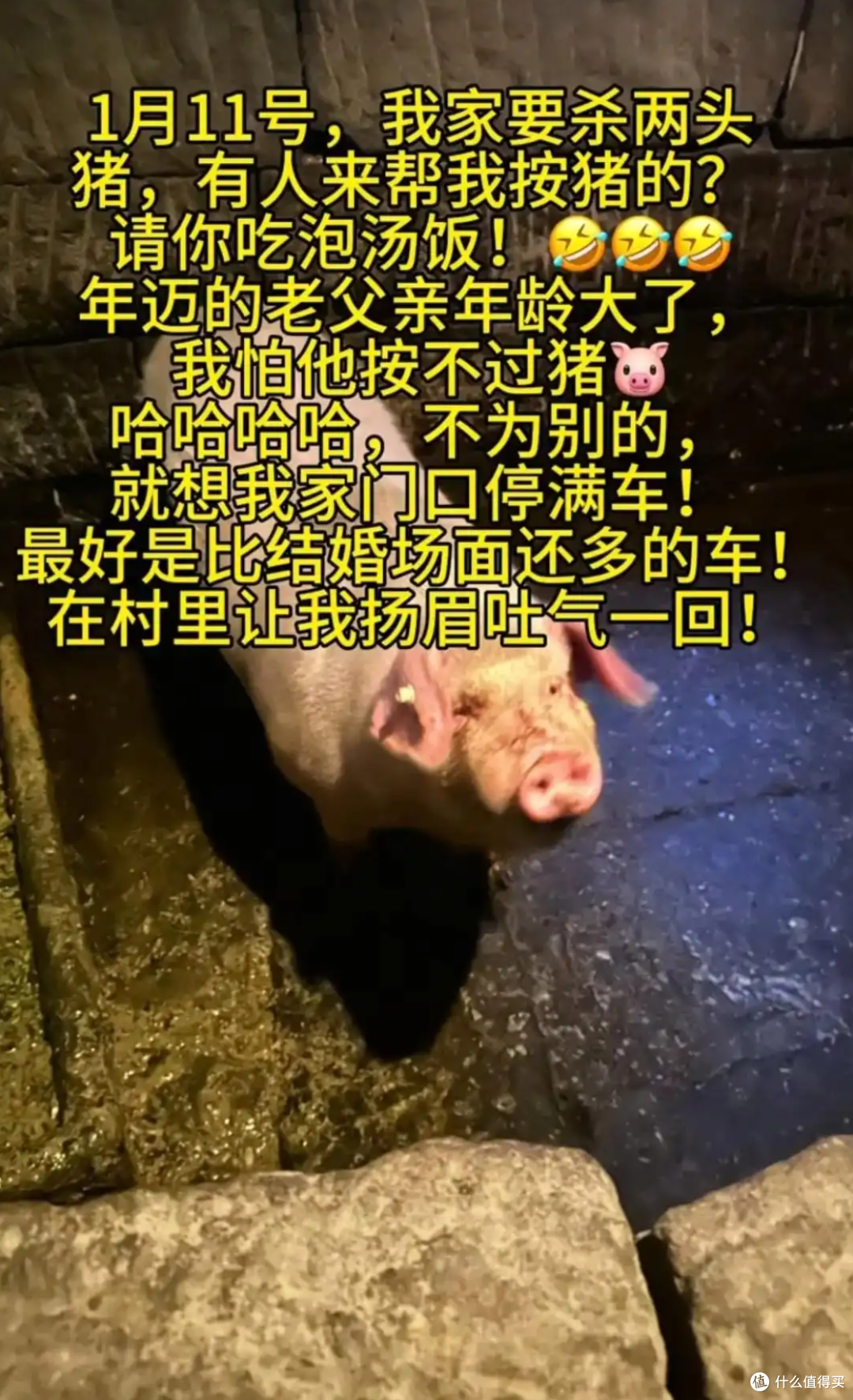 重庆女子不会杀猪网上求助,上千人驱车来帮忙,10万人在线围观!