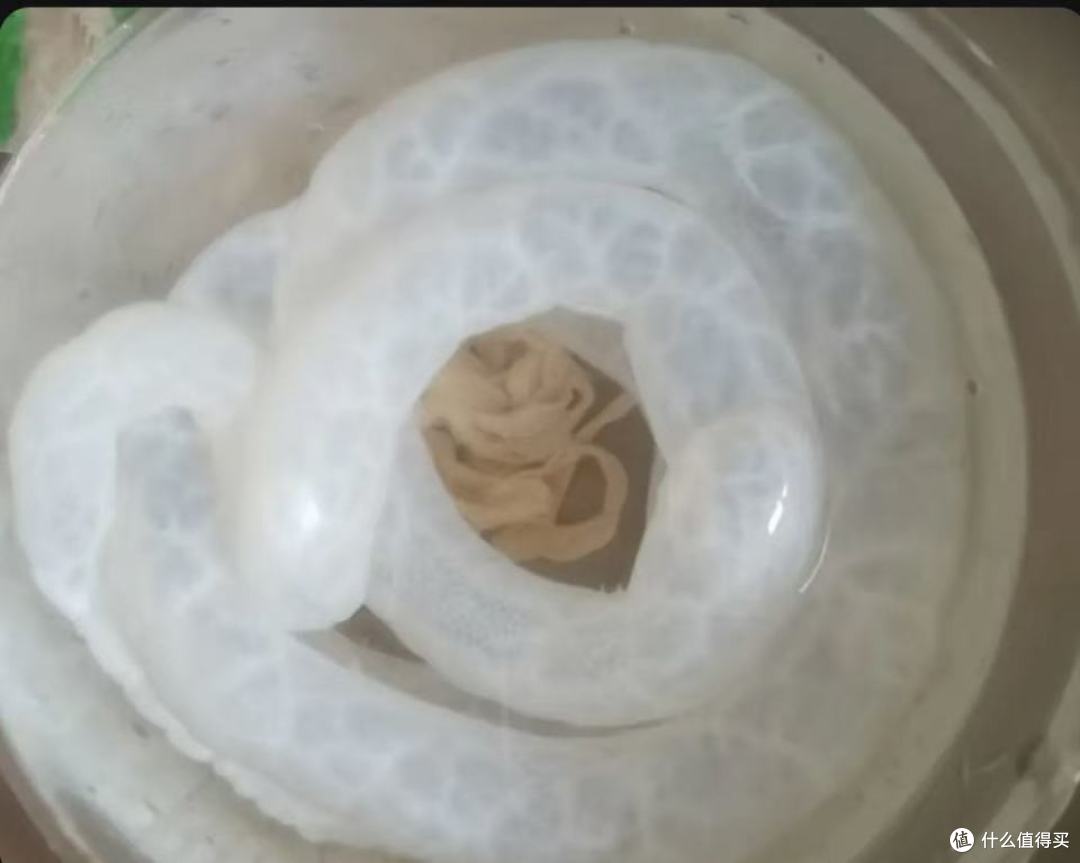 最近少吃羊肉多吃它,脾肾双补不上火,身体暖和了,开春长得高又壮!