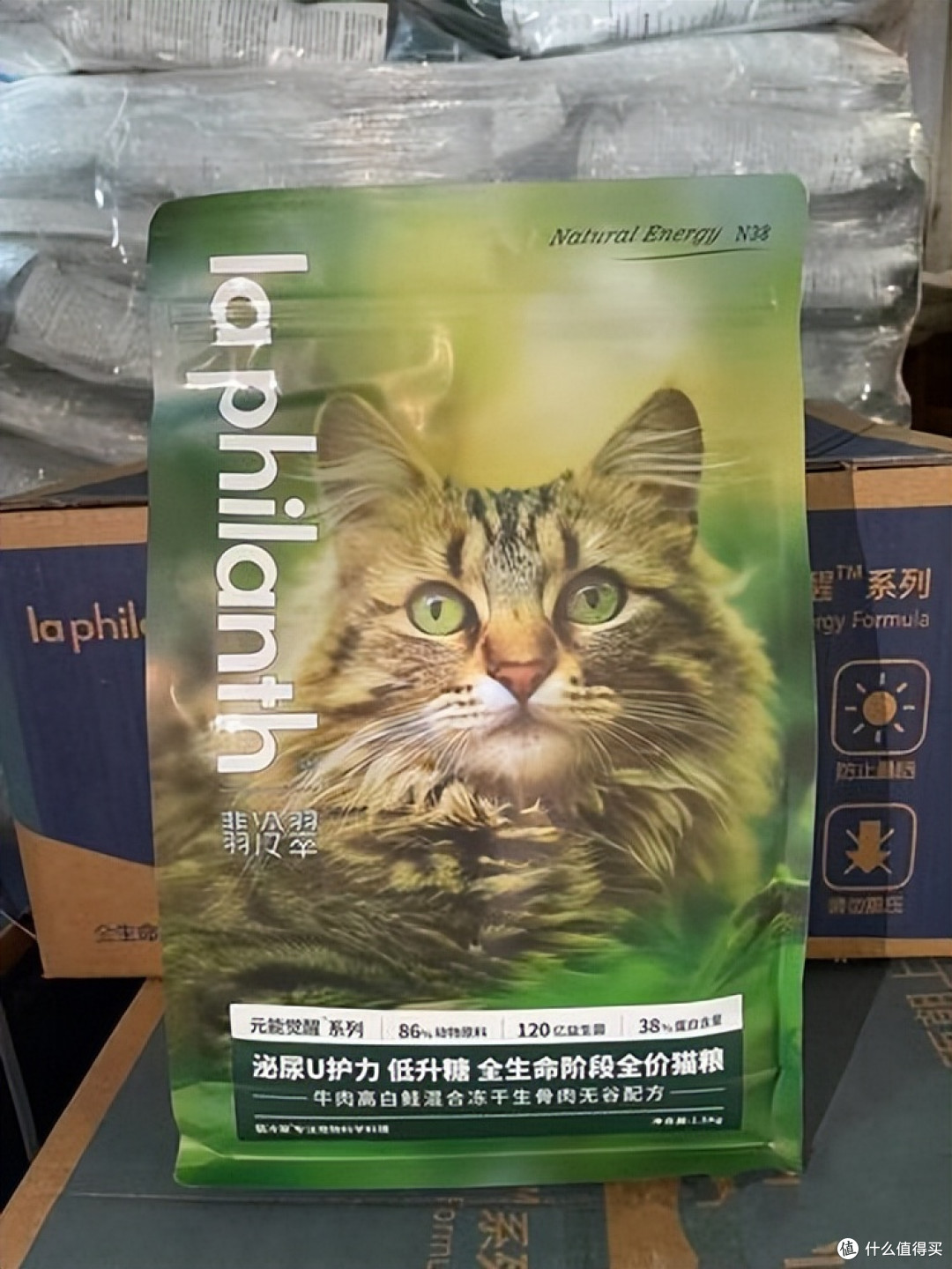 2026国产猫粮性价比红榜,营养不缩水还省钱!