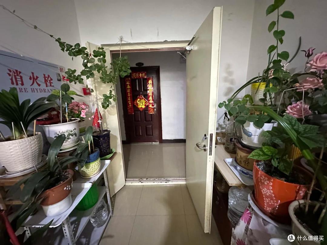 河南一男子，放楼道的花“丢了一半”，网友“辣评”让人哭笑不得