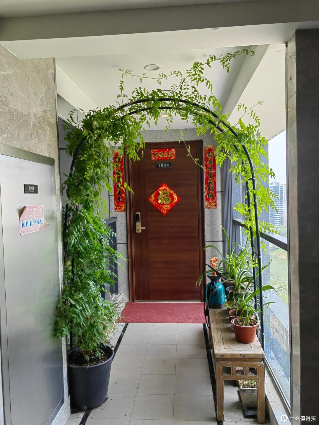 河南一男子，放楼道的花“丢了一半”，网友“辣评”让人哭笑不得