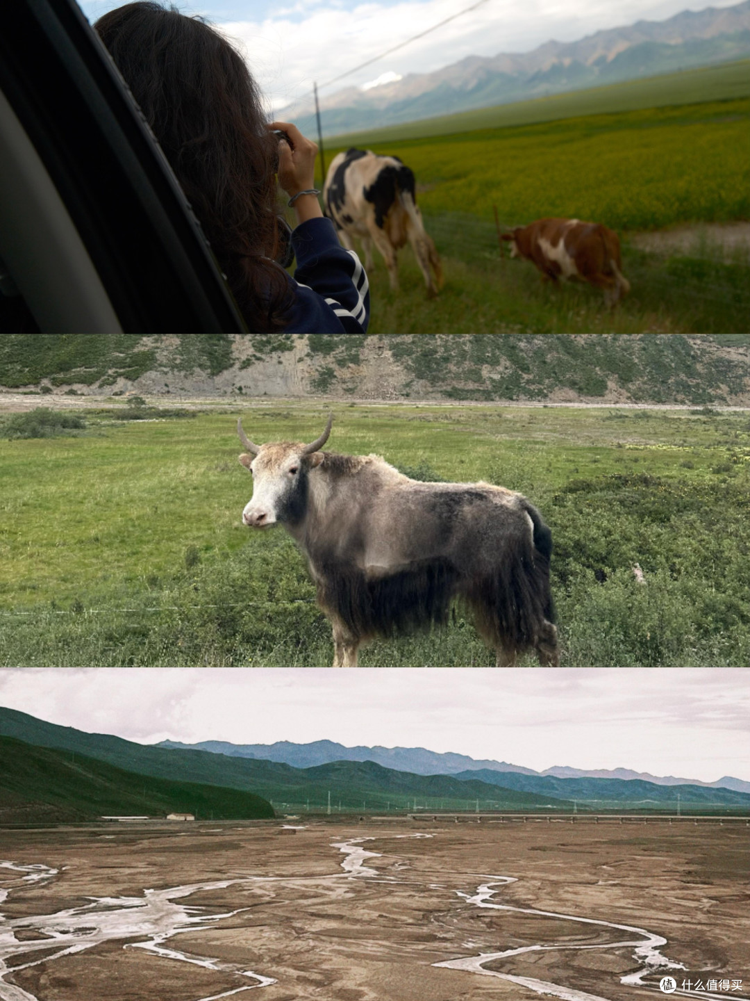 大理之行:未计划的相遇